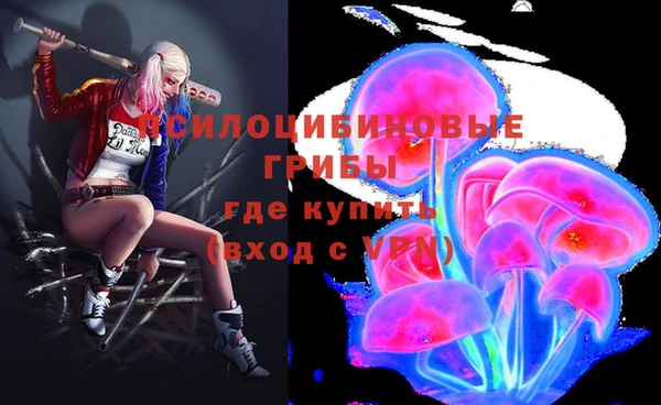 гидропоника Богородицк