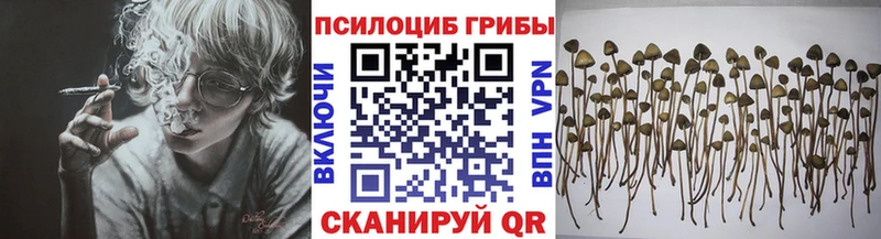 Псилоцибиновые грибы GOLDEN TEACHER  Белоярский 